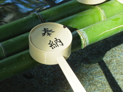 天道虫