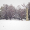 白い公園