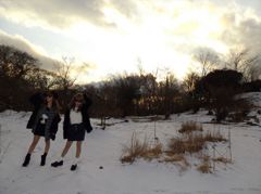 雪山の夕方。