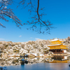 雪の金閣寺