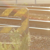 flare effect 03
