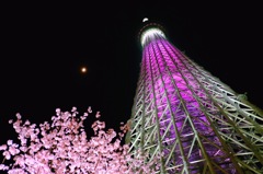 skytree 01