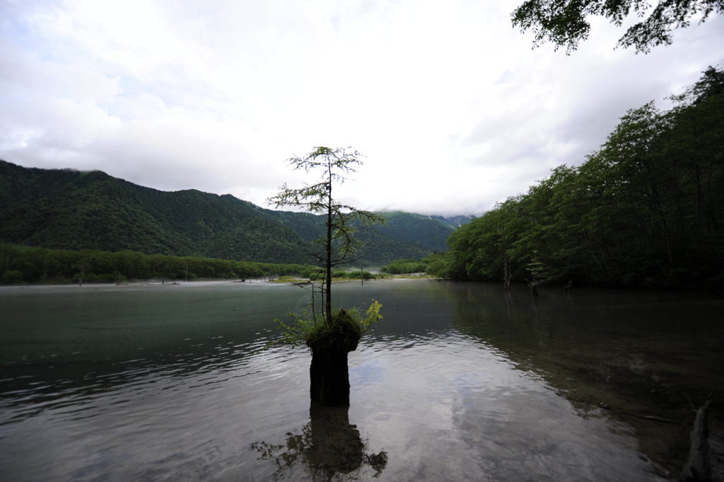 大正池の朝