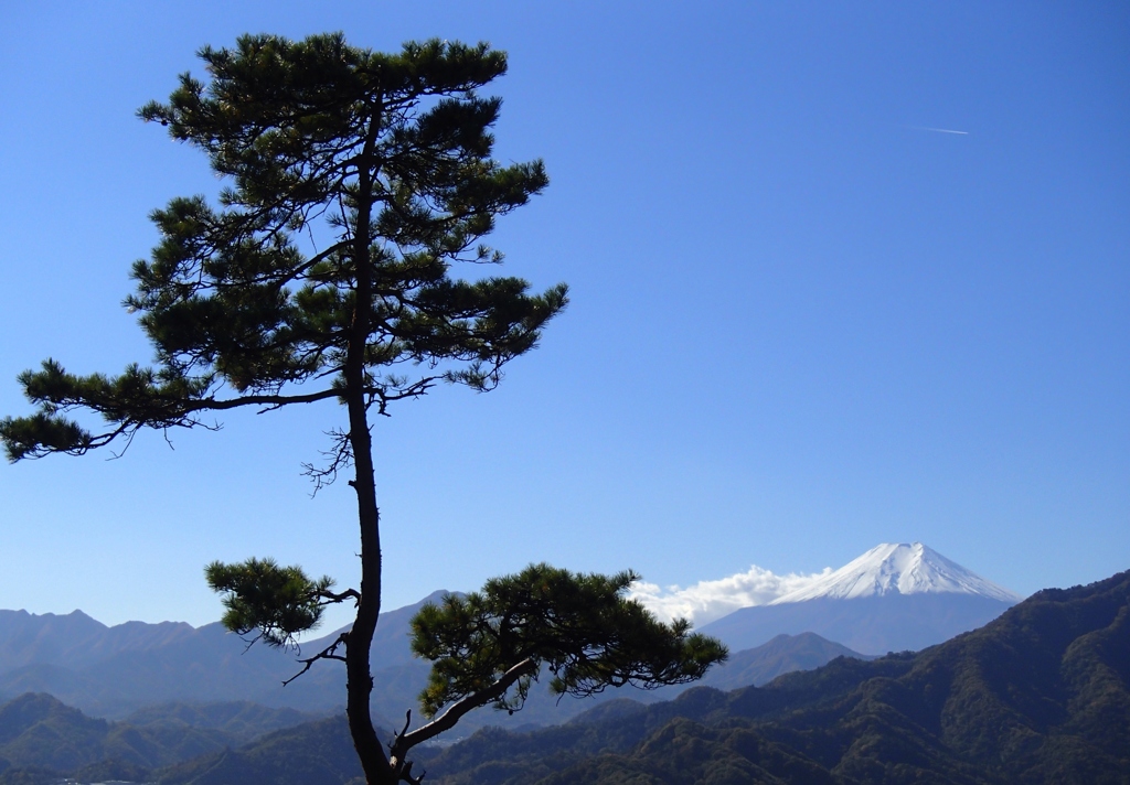富士山