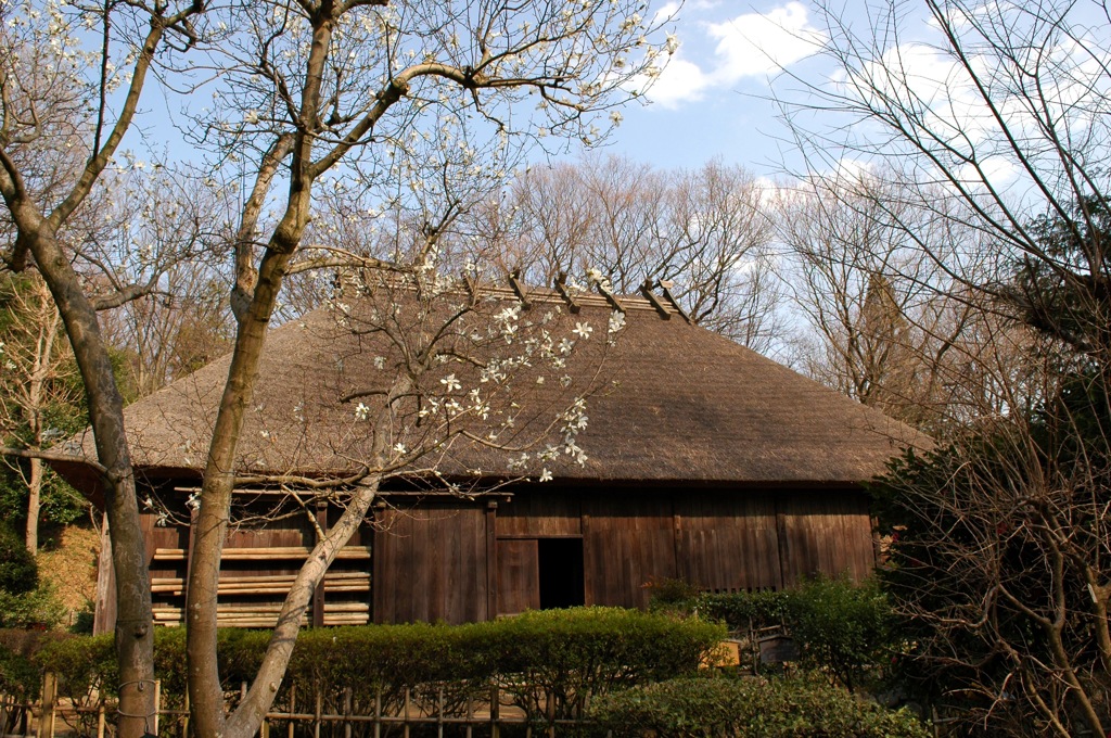 古民家の春