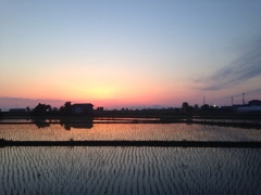 夕暮れの行方市