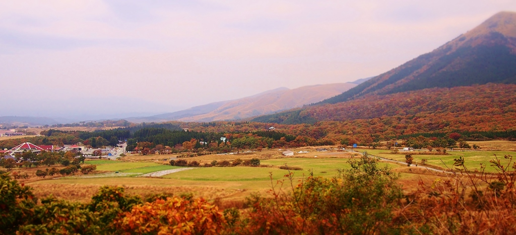 秋の高原　