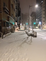 雪の西新宿01