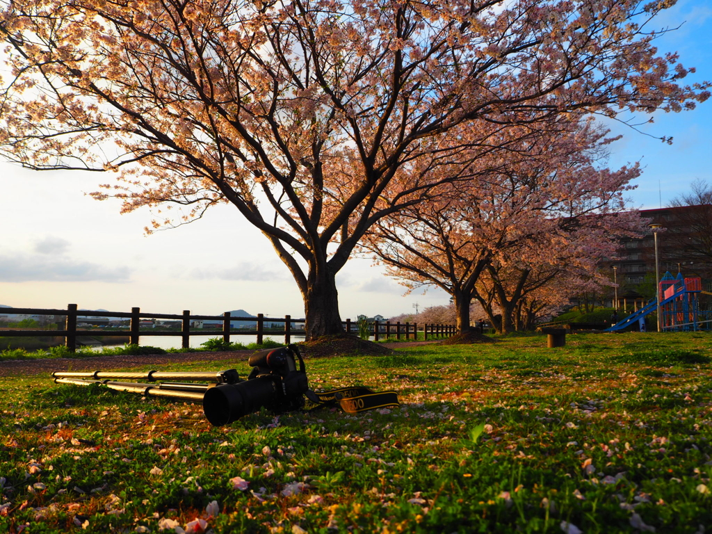 D500ちゃん休憩入りまーす。