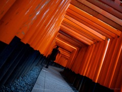 無限の回廊