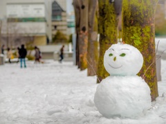 雪だるまでございます