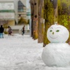 雪だるまでございます