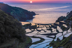 棚田の夕日