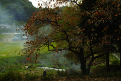 里山の秋