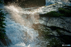 水の舞踏会