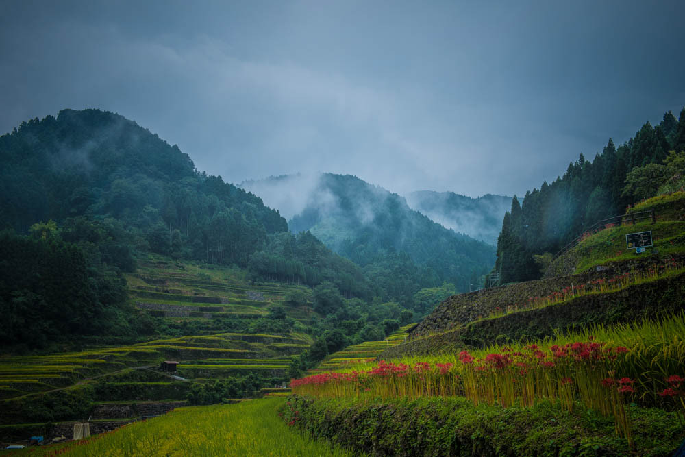 彼岸2