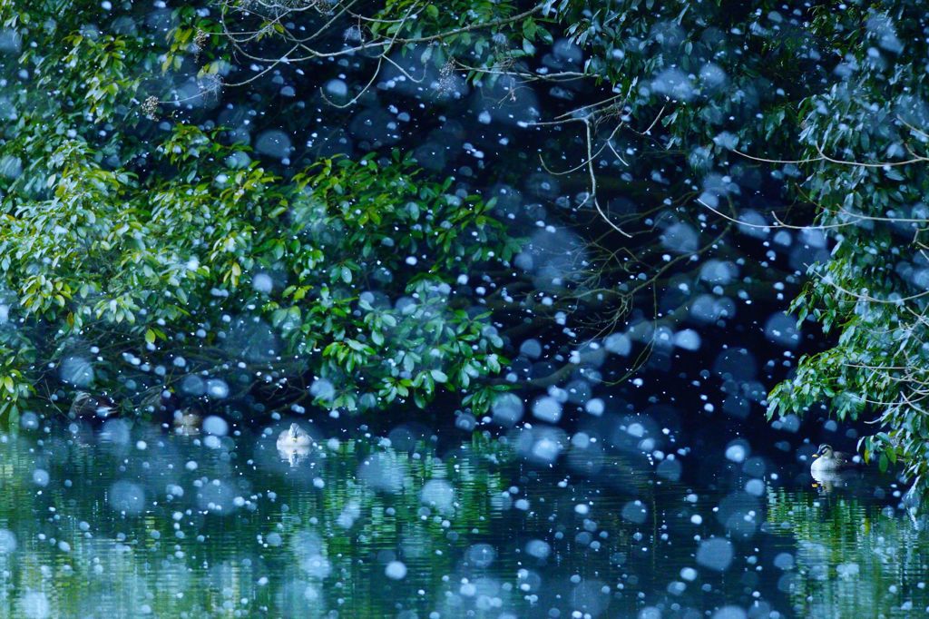 静雪