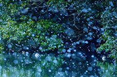 静雪