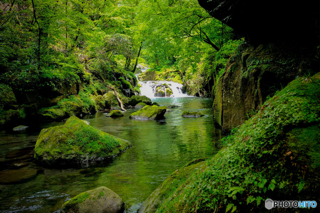 緑の館3