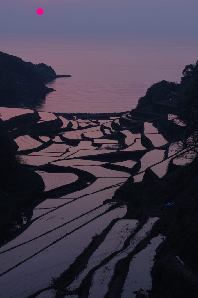 慕情