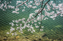 水ぬるむ