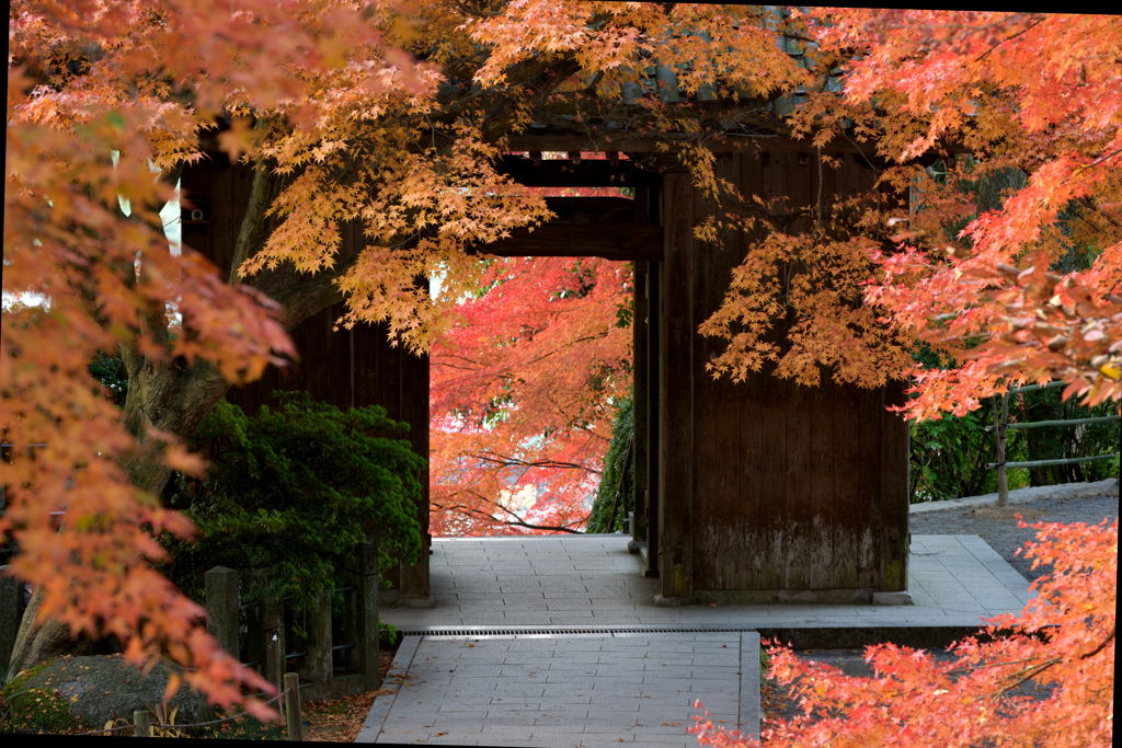 禅寺の秋