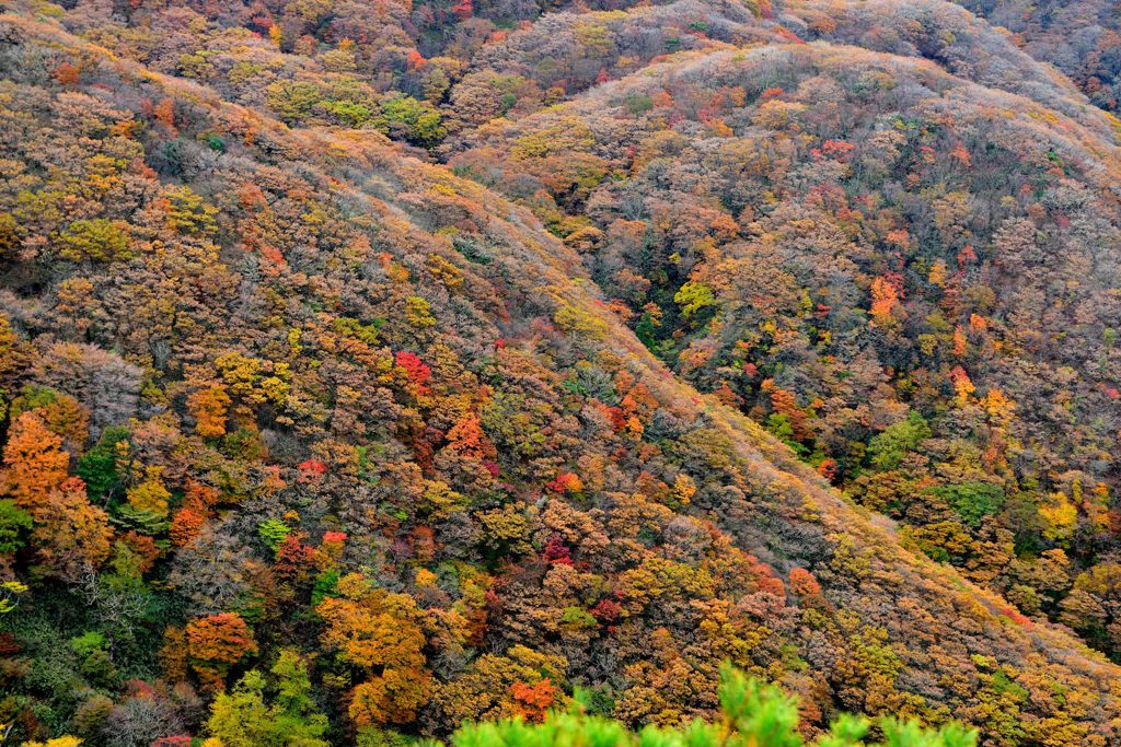 九重山