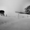 吹雪の情景