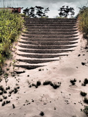 砂丘階段の上