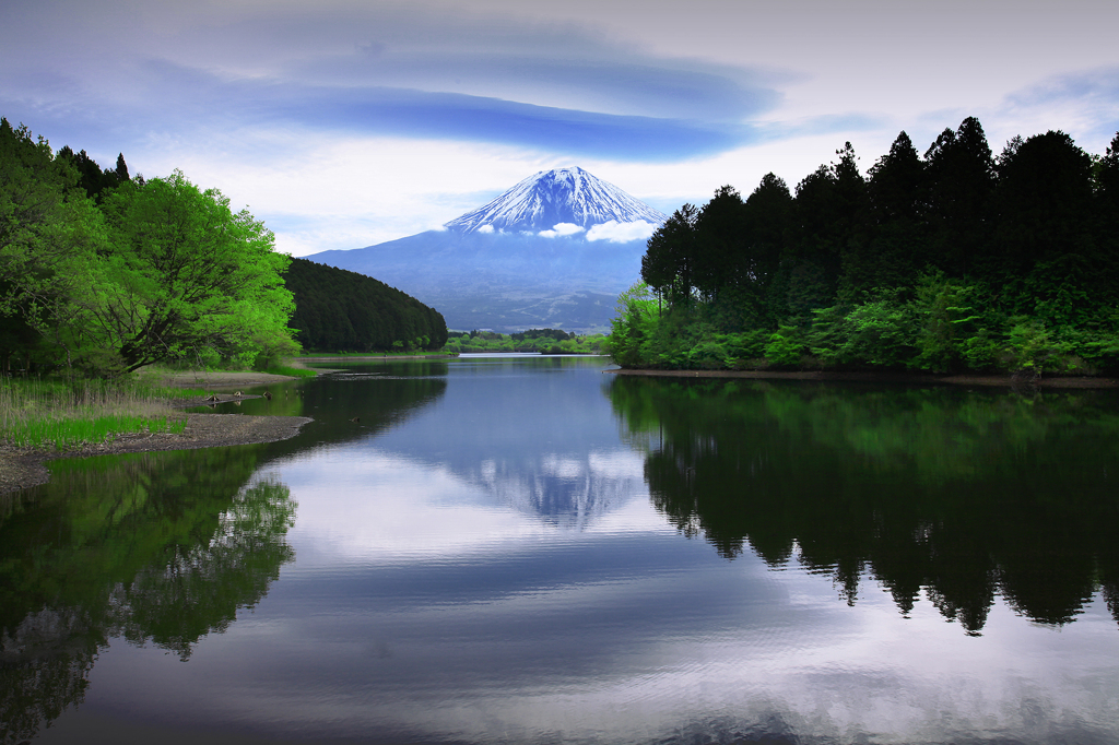 富士山