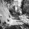 里山散策