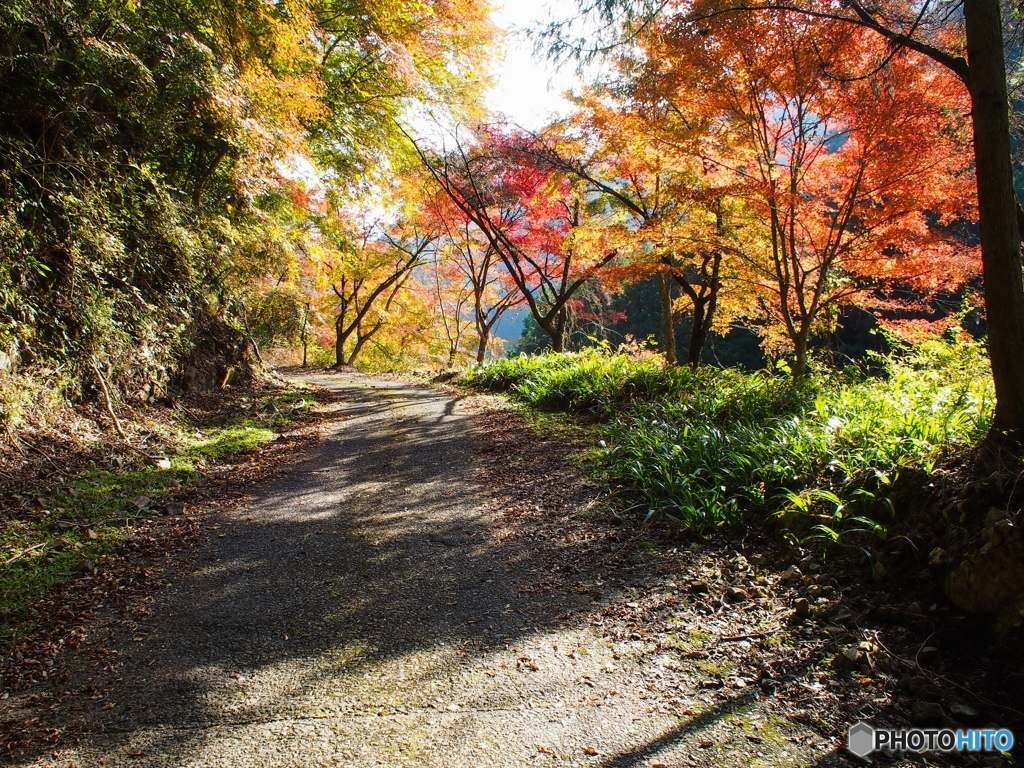 山道