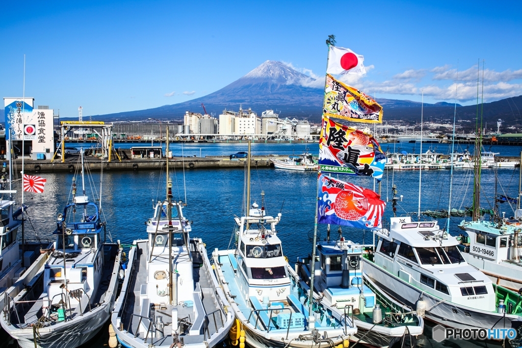大漁旗と富士山