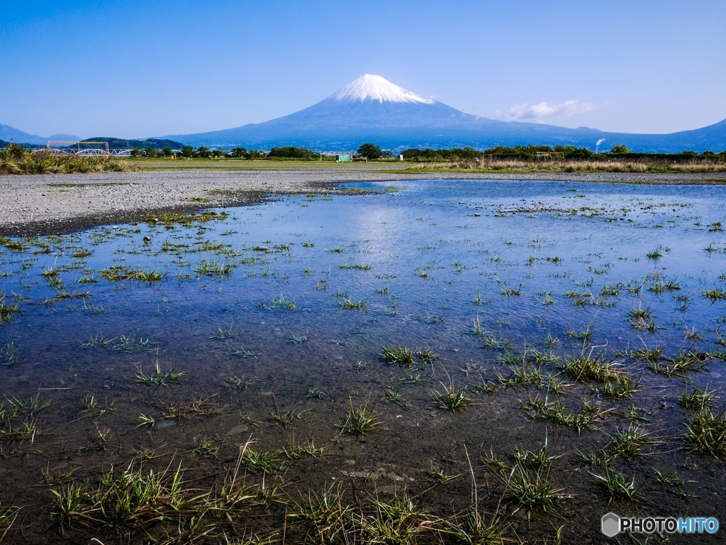 本日の富士山