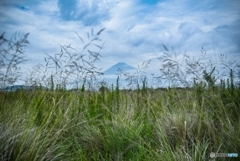 本日の富士山