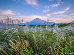 秋の富士山