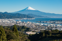 清水港と富士山