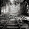 Abandoned factory3