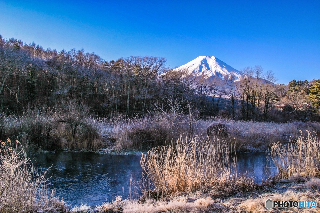 桂川と富士山