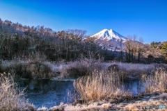 桂川と富士山