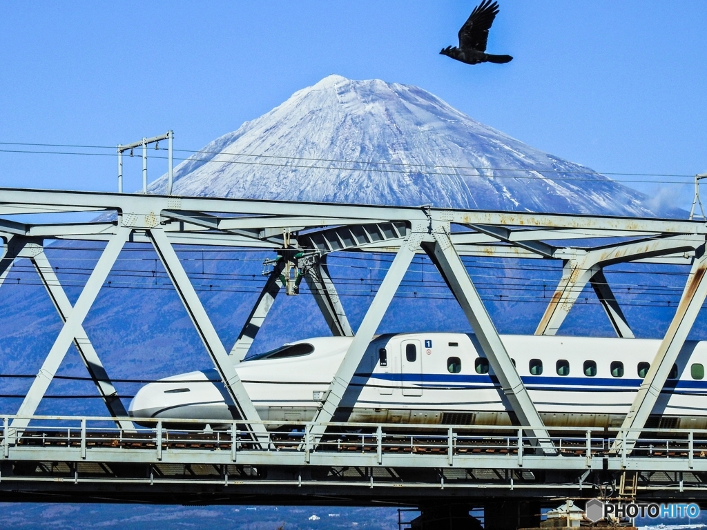新幹線と富士山とカラス