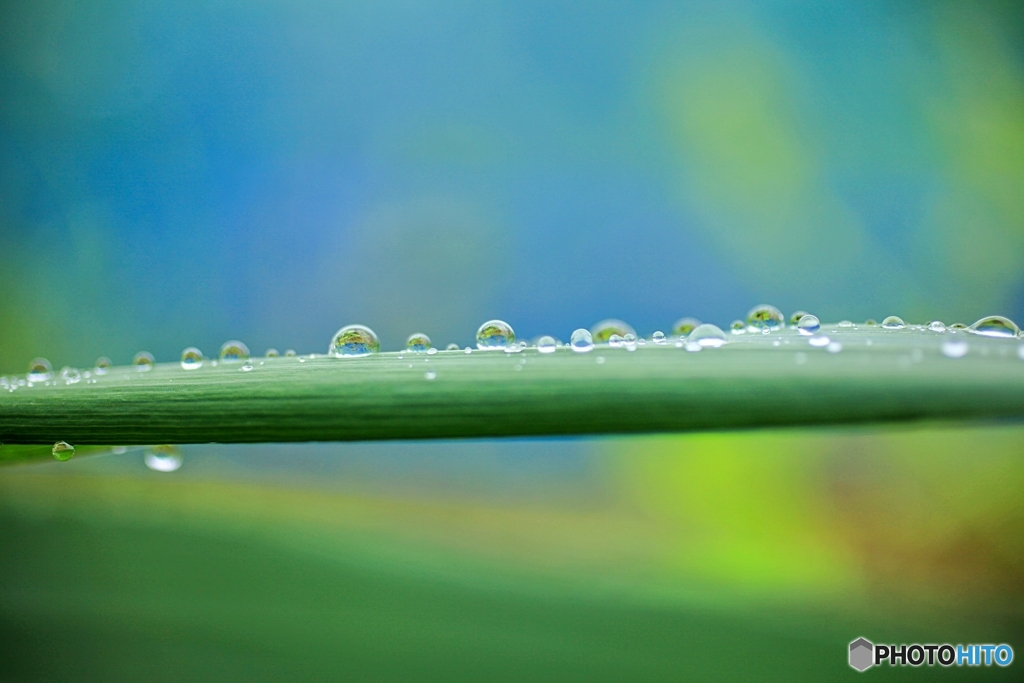 Drops