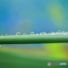 Drops