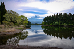 静かな湖畔の森の影から