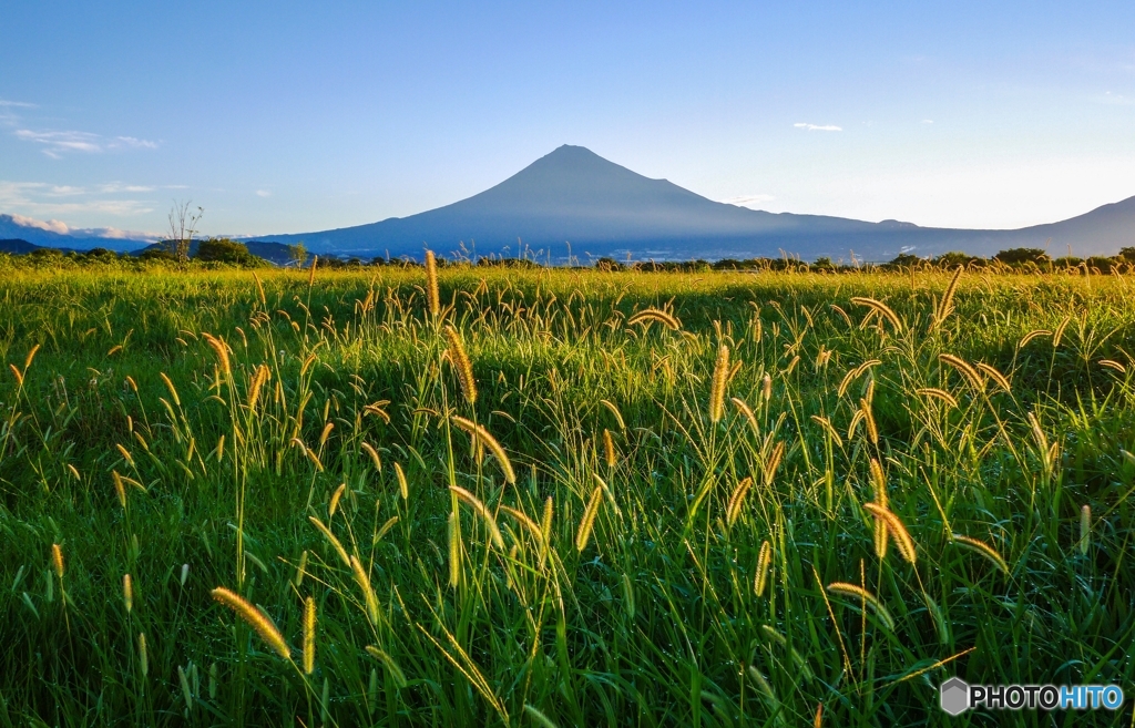 早秋の富士山