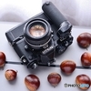 Nikon new FM2＋MD-12