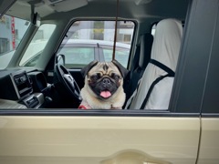 Hello！