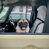 Hello！