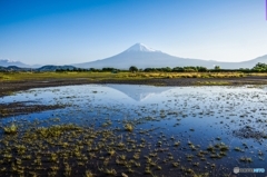 本日の富士山