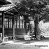 陽のあたる場所